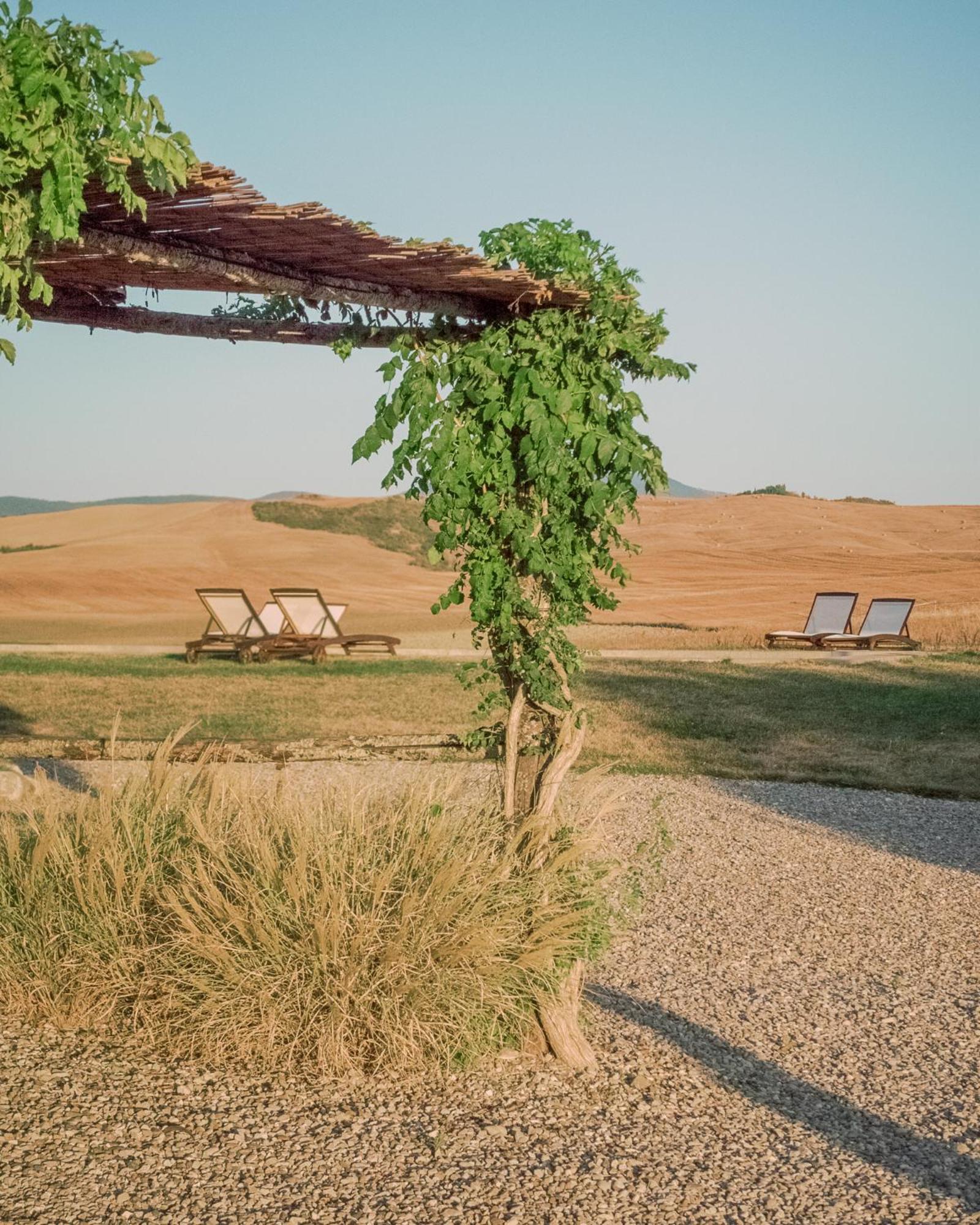 Locanda In Tuscany Castiglione d'Orcia Ngoại thất bức ảnh